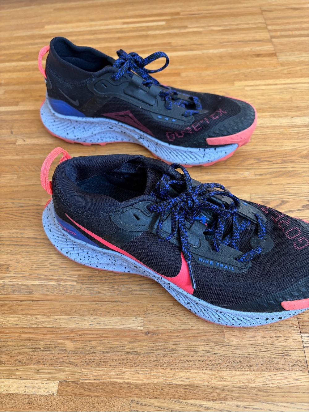 Nike Pegasus Goretex Trail Running Shoes